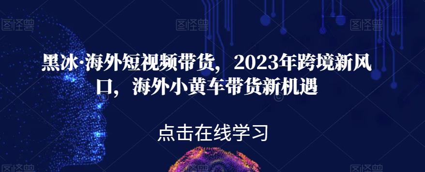 黑冰·海外短视频带货,2023年跨境新风口,海外小黄车带货新机遇-沐风资源库