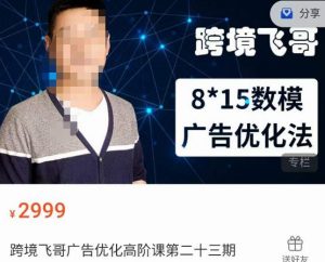 跨境飞哥·广告优化高阶课第二十三期，​8*15数模广告优化法，用数据驱动决策-沐风资源库