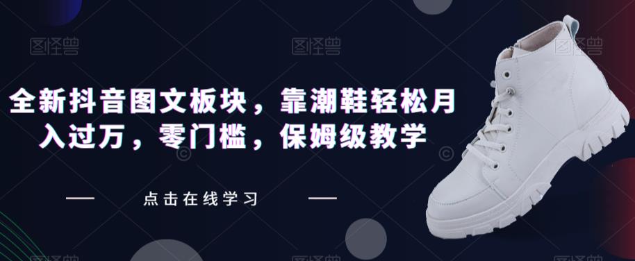 全新抖音图文板块，靠潮鞋轻松月入过万，零门槛，保姆级教学【揭秘】-沐风资源库