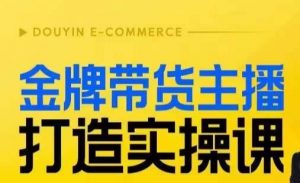 金牌带货主播打造实操课，直播间小公主丹丹老师告诉你，百万主播不可追，高效复制是王道！-沐风资源库