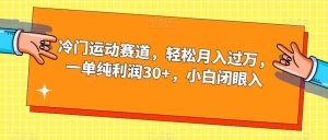 冷门运动赛道，轻松月入过万，一单纯利润30+，小白闭眼入【揭秘】-沐风资源库