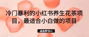 冷门暴利的小红书养生花茶项目，最适合小白做的项目【揭秘】-沐风资源库