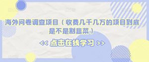 海外问卷调查项目（收费几千几万的项目到底是不是割韭菜）【揭秘】-沐风资源库