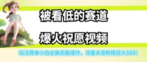 被看低的赛道爆火祝愿视频，玩法简单小白必做无脑操作，流量大涨粉快日入500-沐风资源库