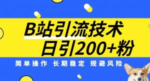 B站引流技术：每天引流200精准粉，简单操作，长期稳定，规避风险-沐风资源库