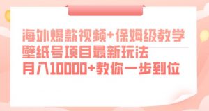 海外爆款视频+保姆级教学，壁纸号项目最新玩法，月入10000+教你一步到位【揭秘】-沐风资源库
