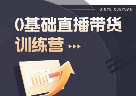 2023直播带货入门进阶运营实训课程，新手直播运营培训实操课-沐风资源库