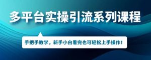 多平台引流实操系列课程，新手小白看完也可轻松上手进行引流操作-沐风资源库