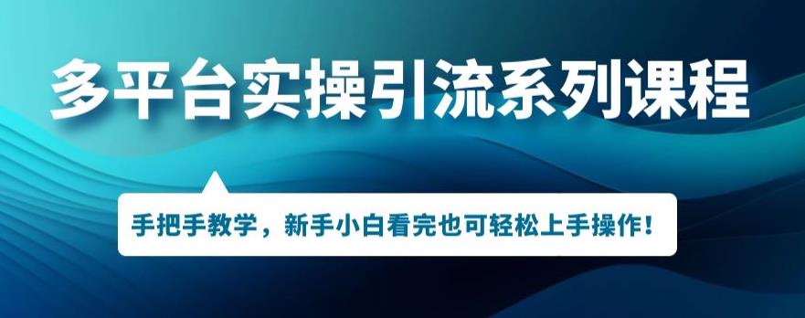 多平台引流实操系列课程，新手小白看完也可轻松上手进行引流操作-沐风资源库