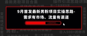 9月首发最新男粉项目实操思路-需求有市场，流量有渠道【揭秘】-沐风资源库
