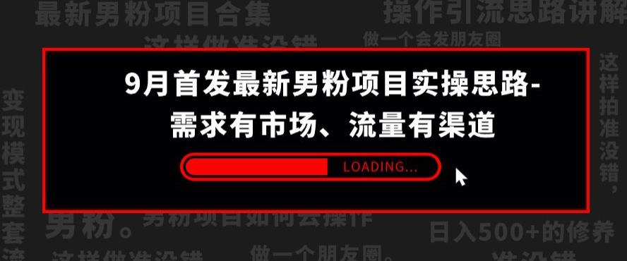 9月首发最新男粉项目实操思路-需求有市场，流量有渠道【揭秘】-沐风资源库