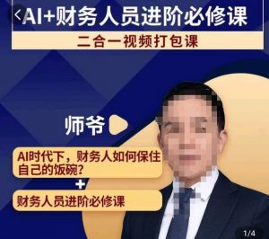 AI+财务人员进阶必修课二合一视频打包课，财务人员进阶必修课-沐风资源库