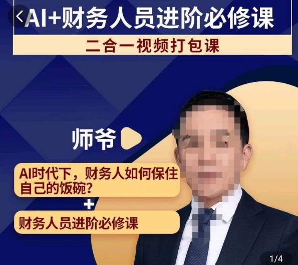 AI+财务人员进阶必修课二合一视频打包课，财务人员进阶必修课-沐风资源库