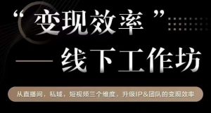 变现效率线下工作坊，从‮播直‬间、私域、‮视短‬频‮个三‬维度，升级IP和团队变现效率-沐风资源库