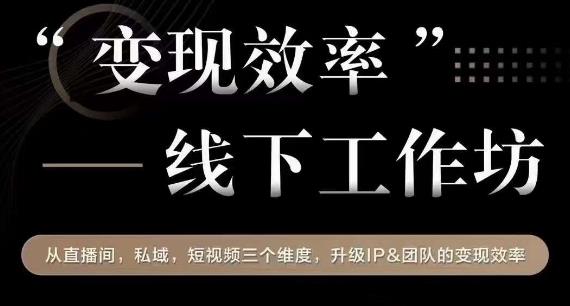 变现效率线下工作坊，从‮播直‬间、私域、‮视短‬频‮个三‬维度，升级IP和团队变现效率-沐风资源库