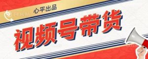 视频号带货好物分享2.0，看完以后可以直接开干了【揭秘】-沐风资源库