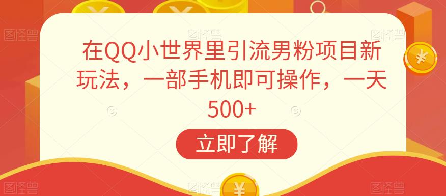 在QQ小世界里引流男粉项目新玩法，一部手机即可操作，一天500+【揭秘】-沐风资源库