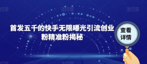 首发五千的快手无限曝光引流创业粉精准粉揭秘-沐风资源库