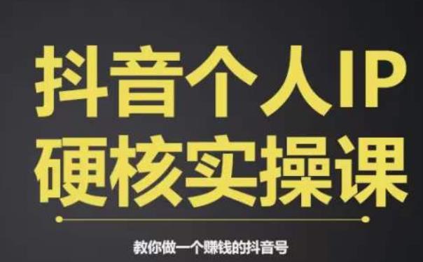 个人IP创富系统实战课，商业定位，流量打造，短视频变现，教你做个赚钱的抖音号-沐风资源库