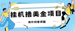 最新挂机撸美金礼品卡项目，可批量操作，单机器200+【入坑思路+详细教程】-沐风资源库