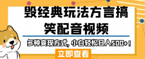 毁经典玩法方言搞笑配音视频，多种变现方式，小白轻松日入500+！-沐风资源库