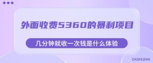 外面收费5360的暴利项目，几分钟就收一次钱是什么体验，附素材【揭秘】-沐风资源库