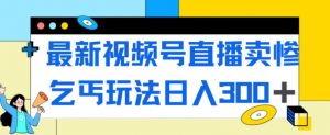 最新视频号直播卖惨乞讨玩法，流量嘎嘎滴，轻松日入300+-沐风资源库
