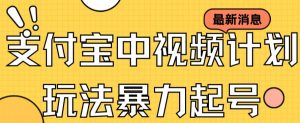 支付宝中视频玩法暴力起号影视起号有播放即可获得收益（带素材）-沐风资源库