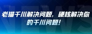 老猫千川解决问题，硬核解决你的千川问题！-沐风资源库