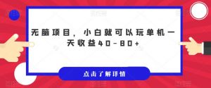 无脑项目，小白就可以玩单机一天收益40-80+【揭秘】-沐风资源库