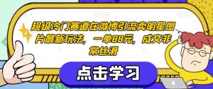超级冷门赛道在微博引流卖明星图片最新玩法，一单88元，成交非常丝滑【揭秘】-沐风资源库