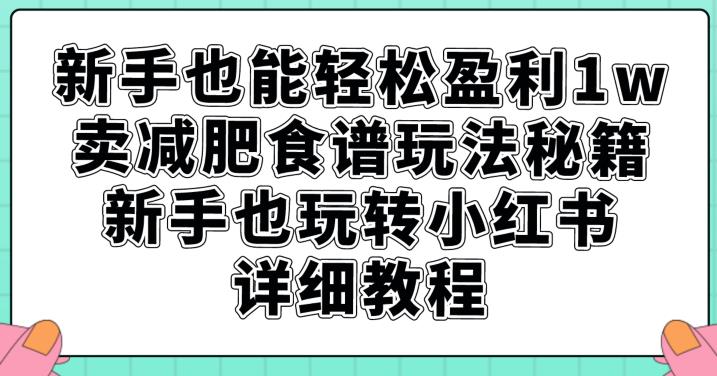 新手也能轻松盈利1w，卖减肥食谱玩法秘籍，新手也玩转小红书详细教程【揭秘】-沐风资源库