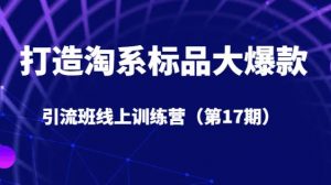 打造淘系标品大爆款引流班线上训练营（第17期）5天直播授课-沐风资源库
