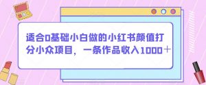 适合0基础小白做的小红书颜值打分小众项目，一条作品收入1000＋【揭秘】-沐风资源库