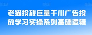 老猫投放巨量千川广告投放学习实操系列基础逻辑-沐风资源库