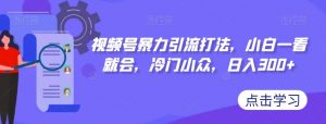 视频号暴力引流打法，小白一看就会，冷门小众，日入300+【揭秘】-沐风资源库