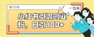 小红书引流创业粉，日引100+【揭秘】-沐风资源库