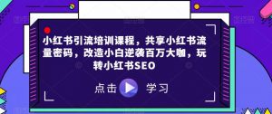 小红书引流培训课程，共享小红书流量密码，改造小白逆袭百万大咖，玩转小红书SEO-沐风资源库