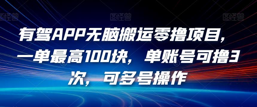 有驾APP无脑搬运零撸项目，一单最高100块，单账号可撸3次，可多号操作【揭秘】-沐风资源库