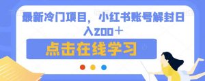 最新冷门项目，小红书账号解封日入200＋【揭秘】-沐风资源库