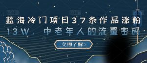 蓝海冷门项目37条作品涨粉13W，中老年人的流量密码【揭秘】-沐风资源库