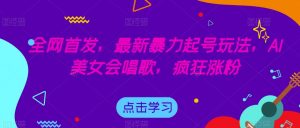 全网首发，最新暴力起号玩法，AI美女会唱歌，疯狂涨粉【揭秘】-沐风资源库