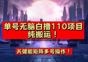 9月全网首发，单号直接白撸110！可多号操作，无脑搬运复制粘贴【揭秘】-沐风资源库