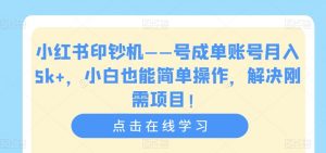 小红书印钞机——号成单账号月入5k+，小白也能简单操作，解决刚需项目【揭秘】-沐风资源库