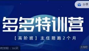 纪主任·多多特训营高阶班【9月13日更新】，拼多多最新玩法技巧落地实操-沐风资源库