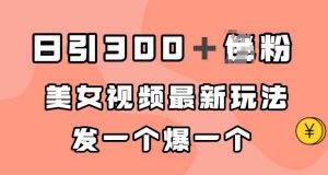日引300＋男粉，美女视频最新玩法，发一个爆一个【揭秘】-沐风资源库