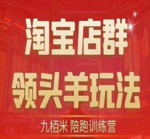 九栢米-淘宝店群领头羊玩法，教你整个淘宝店群领头羊玩法以及精细化/终极蓝海/尾销等内容-沐风资源库