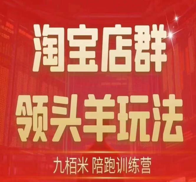 九栢米-淘宝店群领头羊玩法，教你整个淘宝店群领头羊玩法以及精细化/终极蓝海/尾销等内容-沐风资源库
