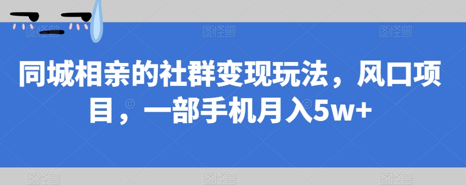 同城相亲的社群变现玩法，风口项目，一部手机月入5w+【揭秘】-沐风资源库