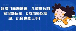 超冷门蓝海赛道，儿童成长档案全新玩法，0成本轻松变现，小白也能上手【揭秘】-沐风资源库